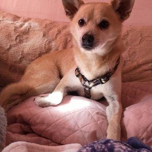 Meet your Posher, Bethany